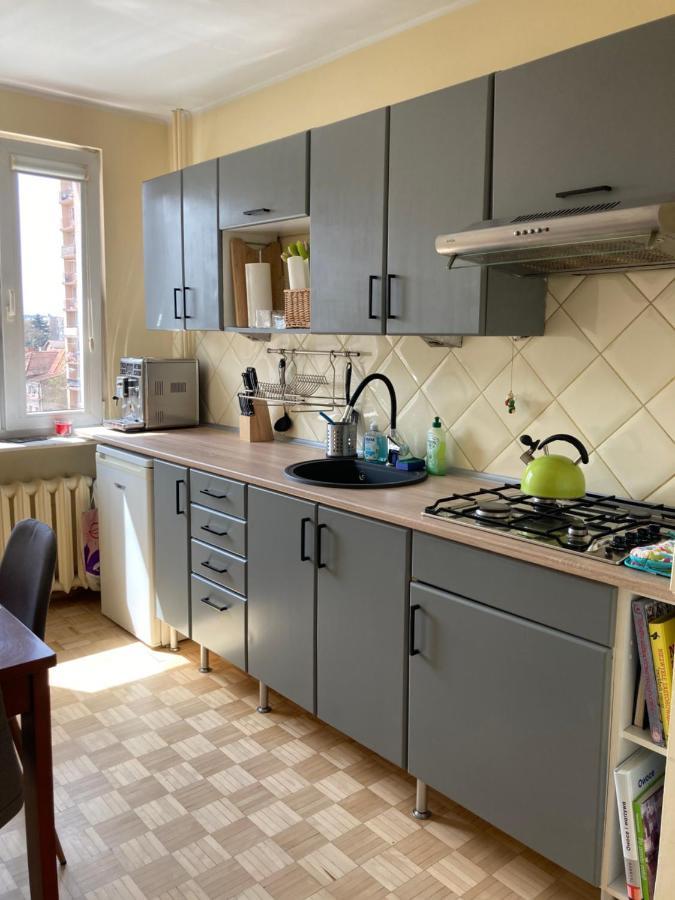 Lokum Seminaryjska Apartament Z Darmowym Parkingiem キェルツェ エクステリア 写真